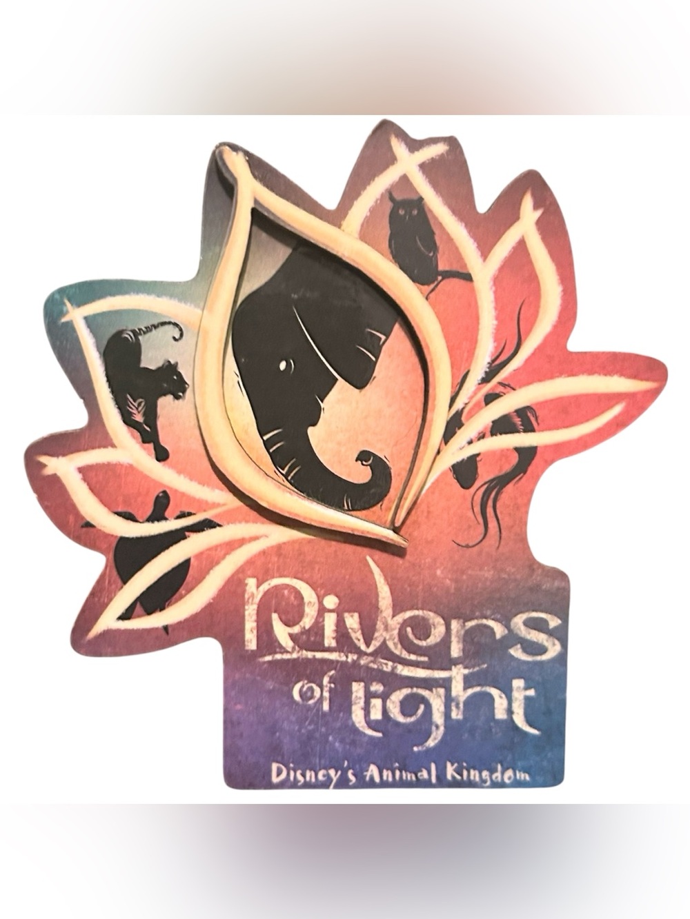 Walt Disney World Disney’s Animal Kingdom Rivers of Light Magnet